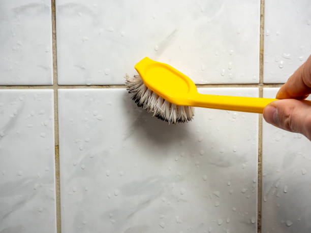 Best Mold Remediation for Specific Building Types in Dock Junction, GA