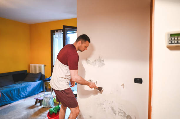 Best Residential Mold Remediation in Dock Junction, GA